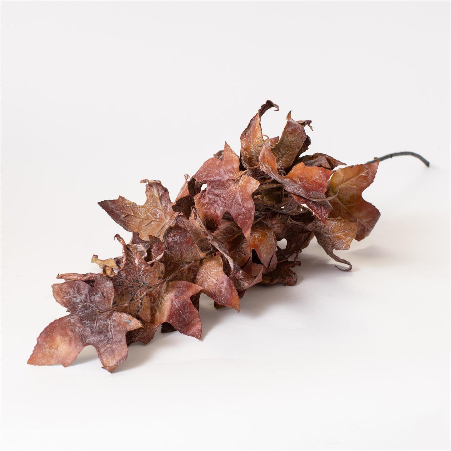 Dried Look Maple Leaves Rust Stem