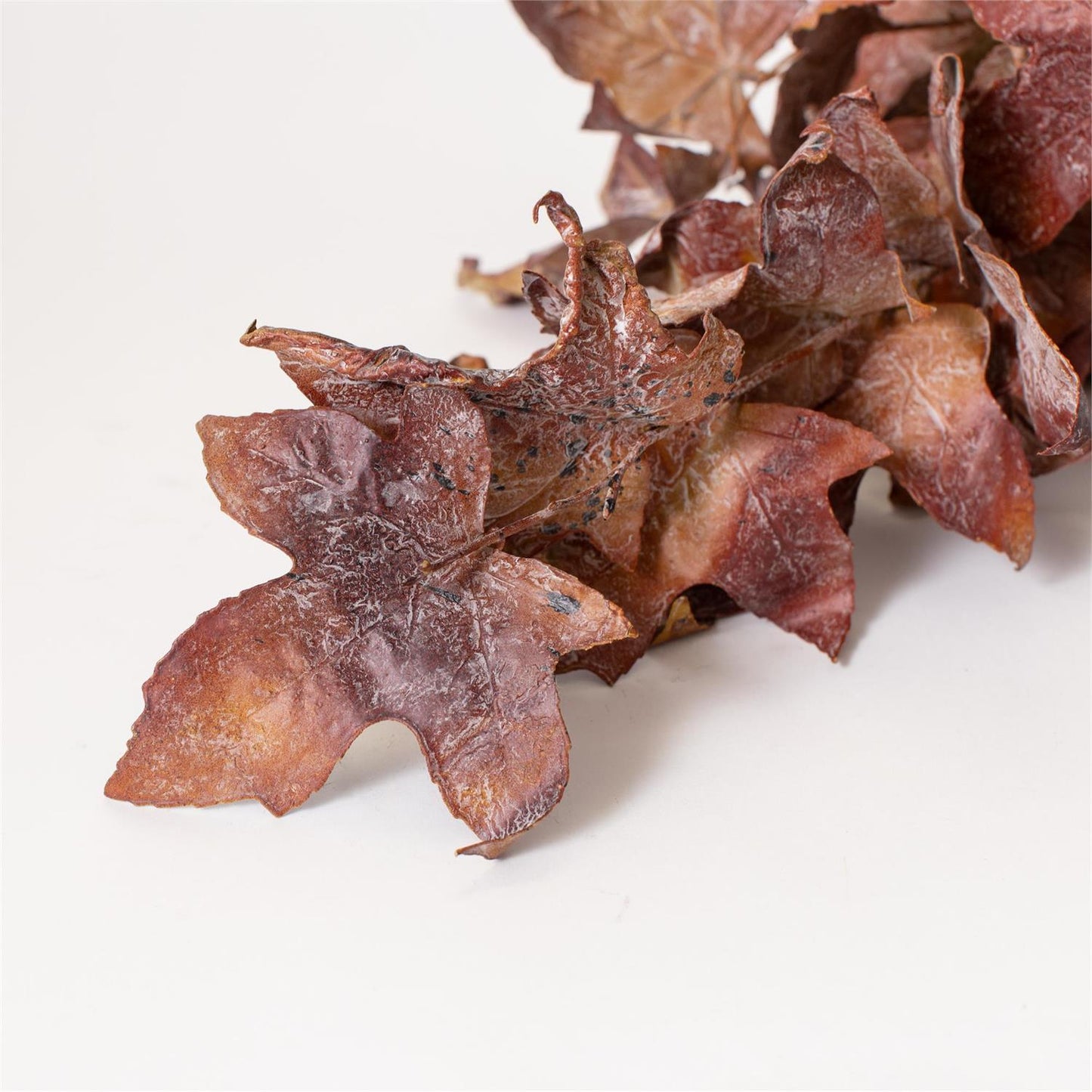 Dried Look Maple Leaves Rust Stem