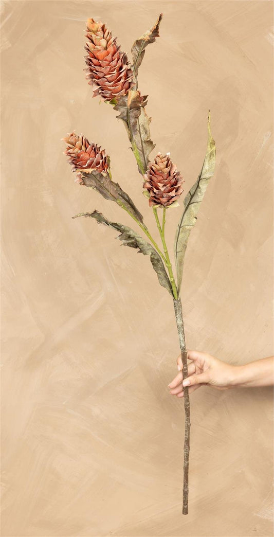 Mini Dried Look Protea Stem