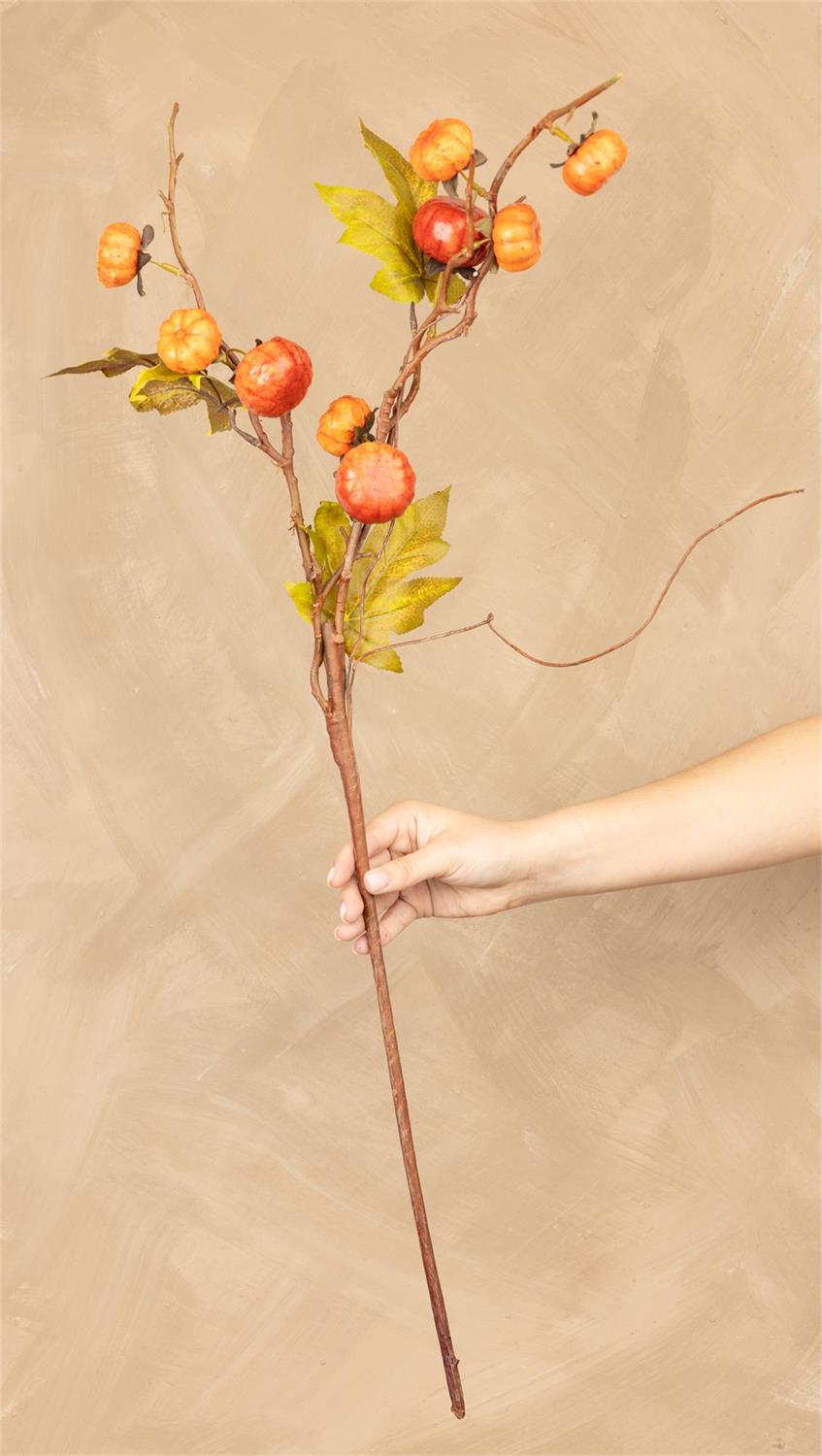 Pumpkin Branch Orange Stem