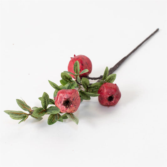 Pomegranates Stem