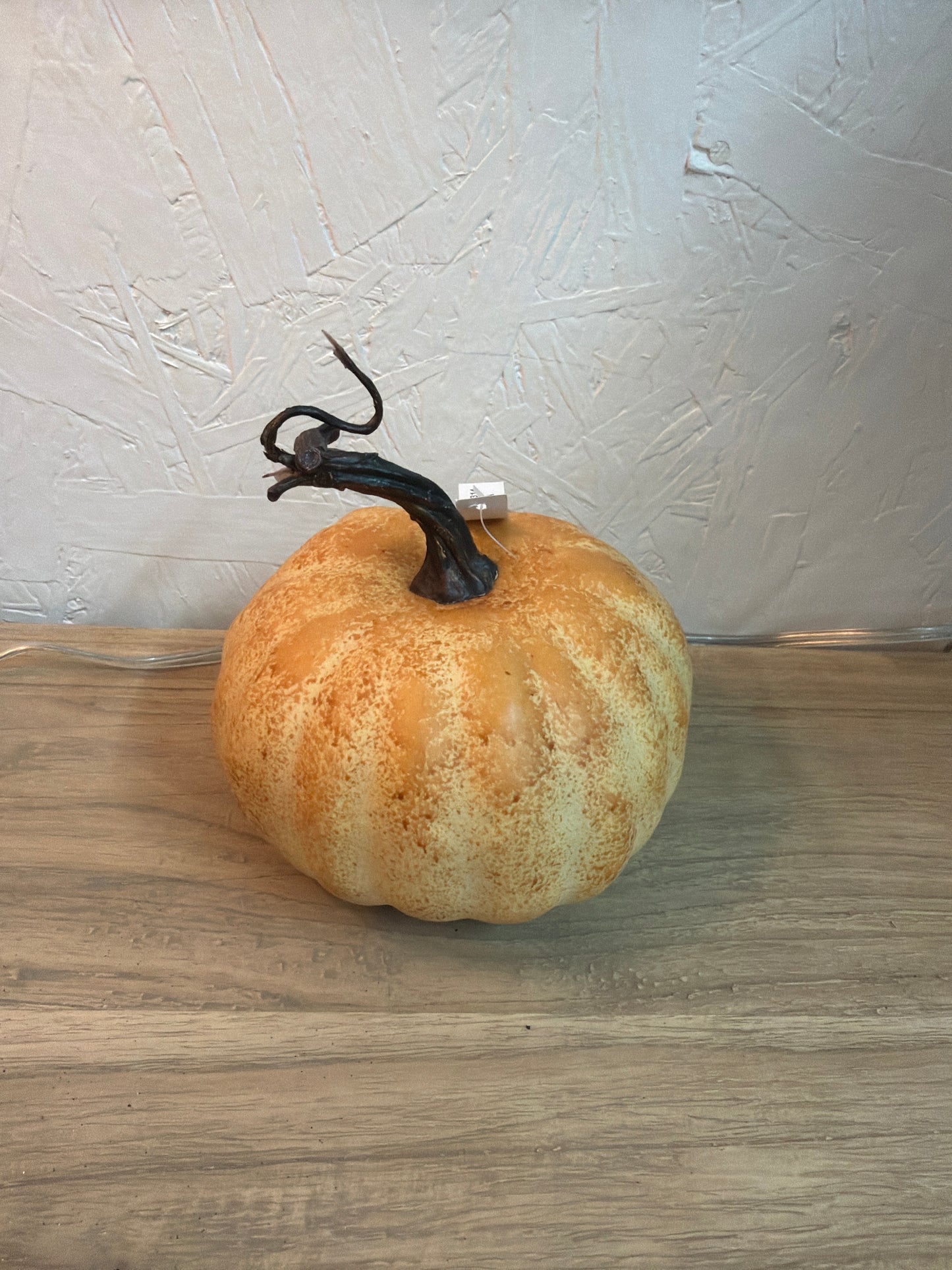 Fby00314-Phc Autumn Garden Pumpkin