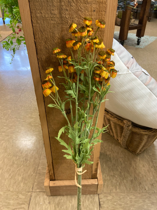 Black Eyed Susan Bundle Yellow 29”