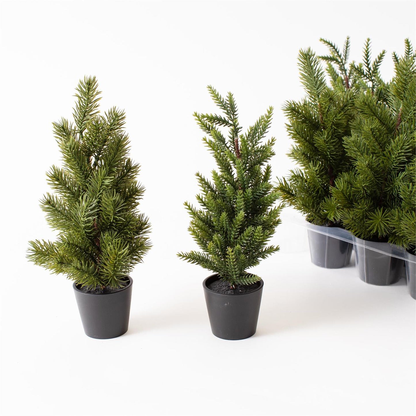 Mini Pine Tree