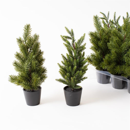 Mini Pine Tree