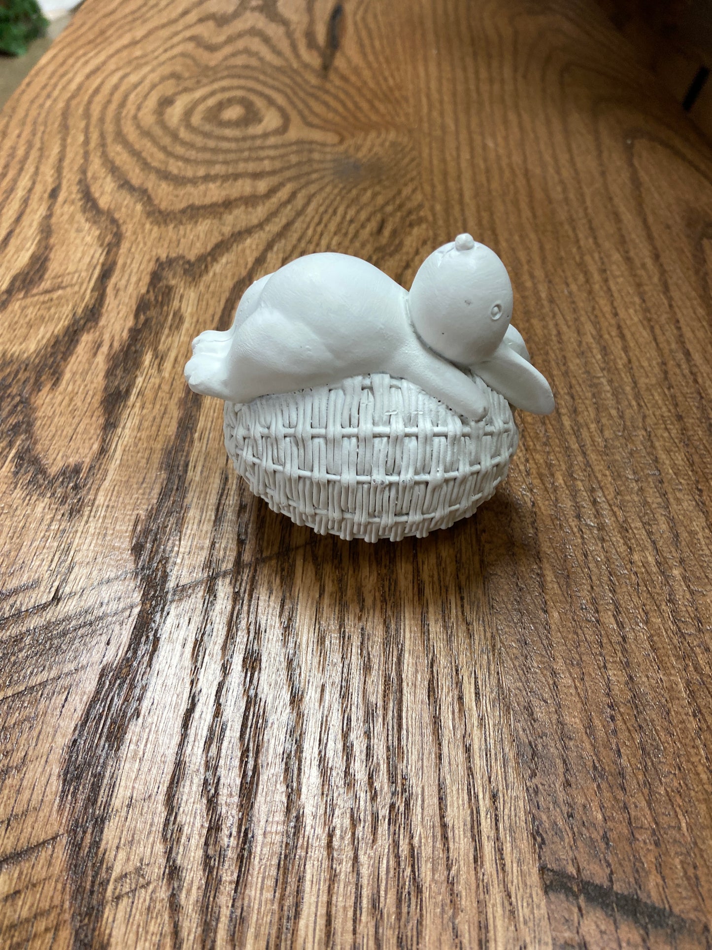 White Bunny on a Easter Egg