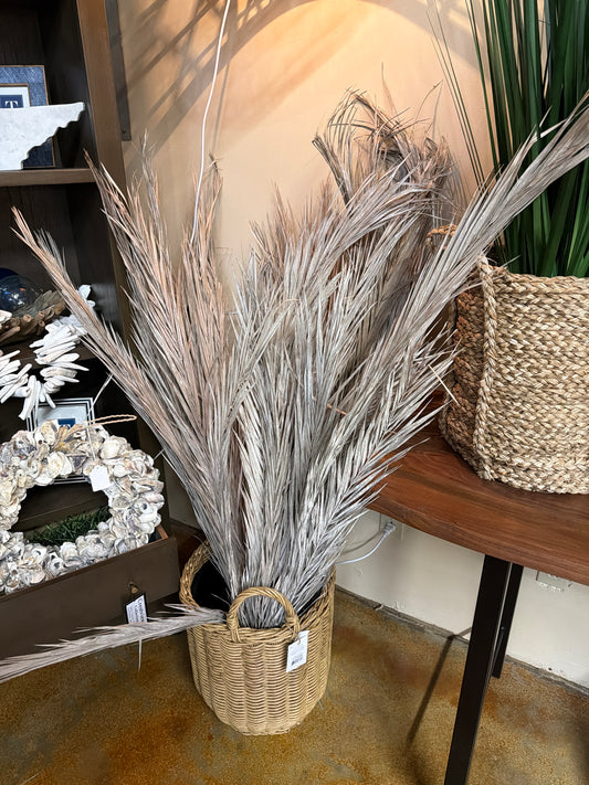 White Palm Leaves
