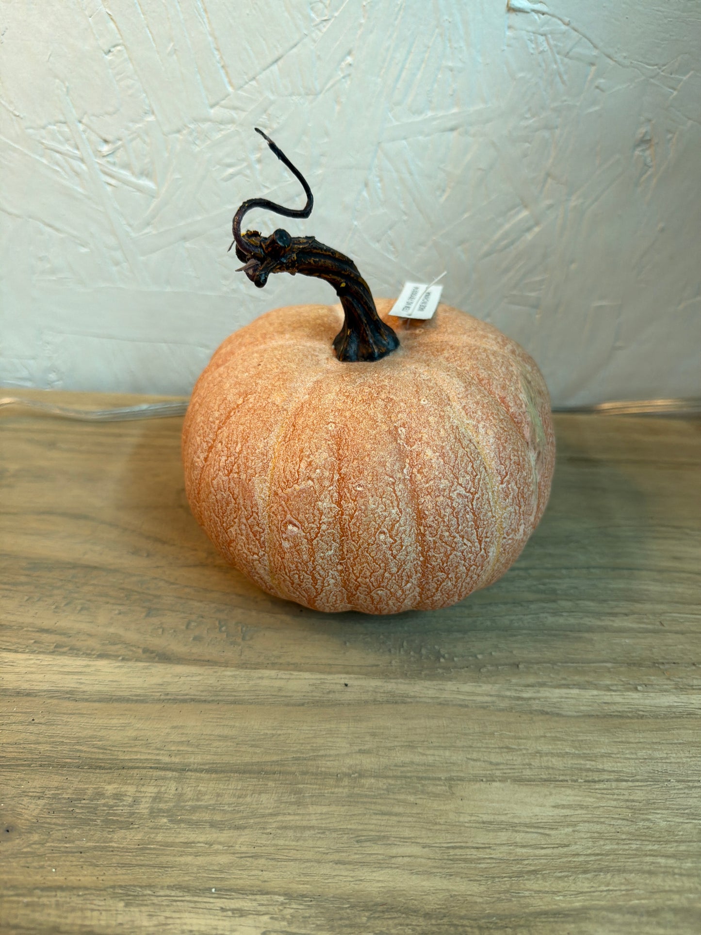 Fby00314-Phc Autumn Garden Pumpkin
