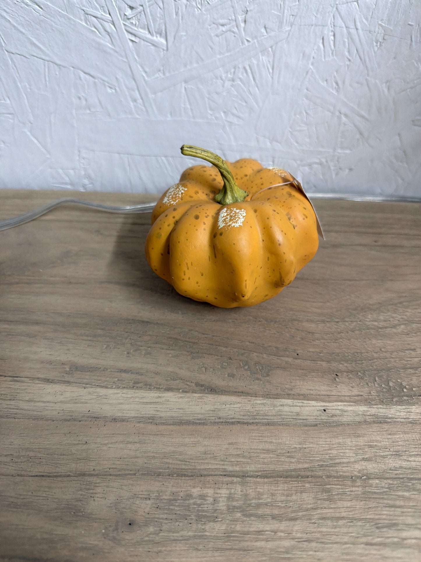 Fby81060 Ph Mini Pumpkins