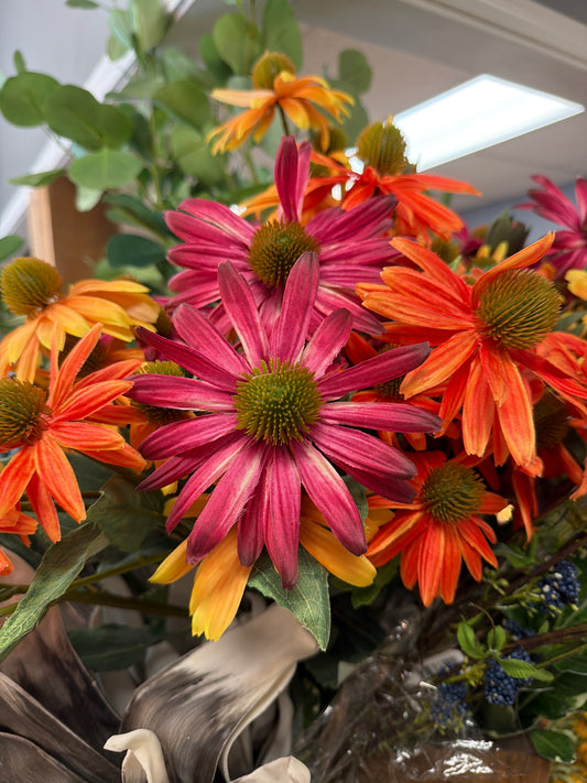 27” Black Eyed Susan (3 Asst)