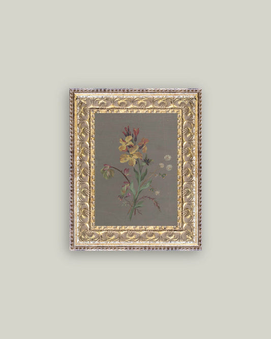 6 French Wildflowers