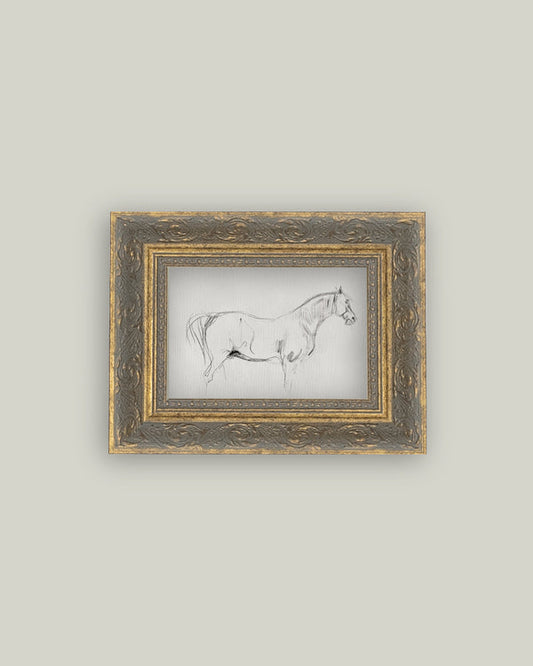 6 Horse Sketch