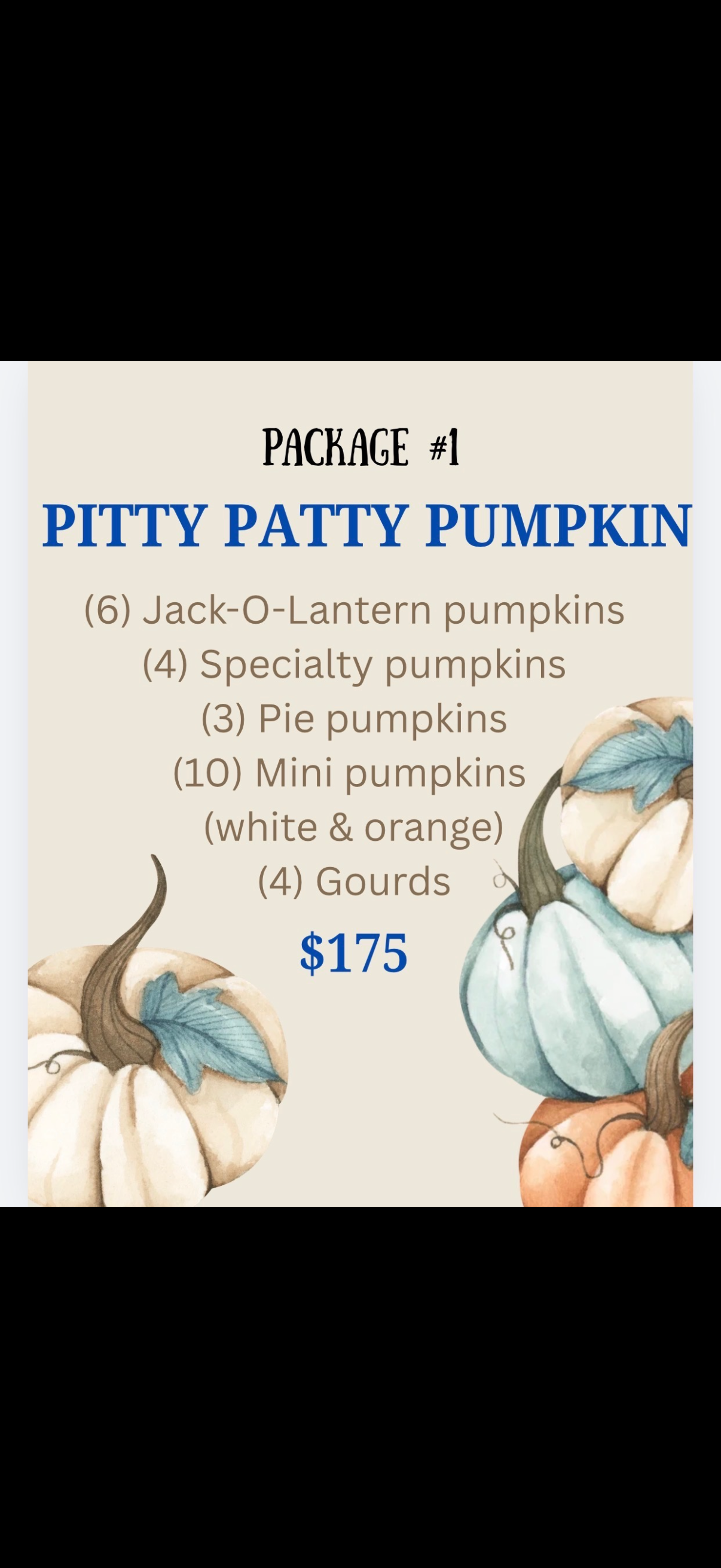 Fall Porch Package #1 Pitty Patty Pumpkin