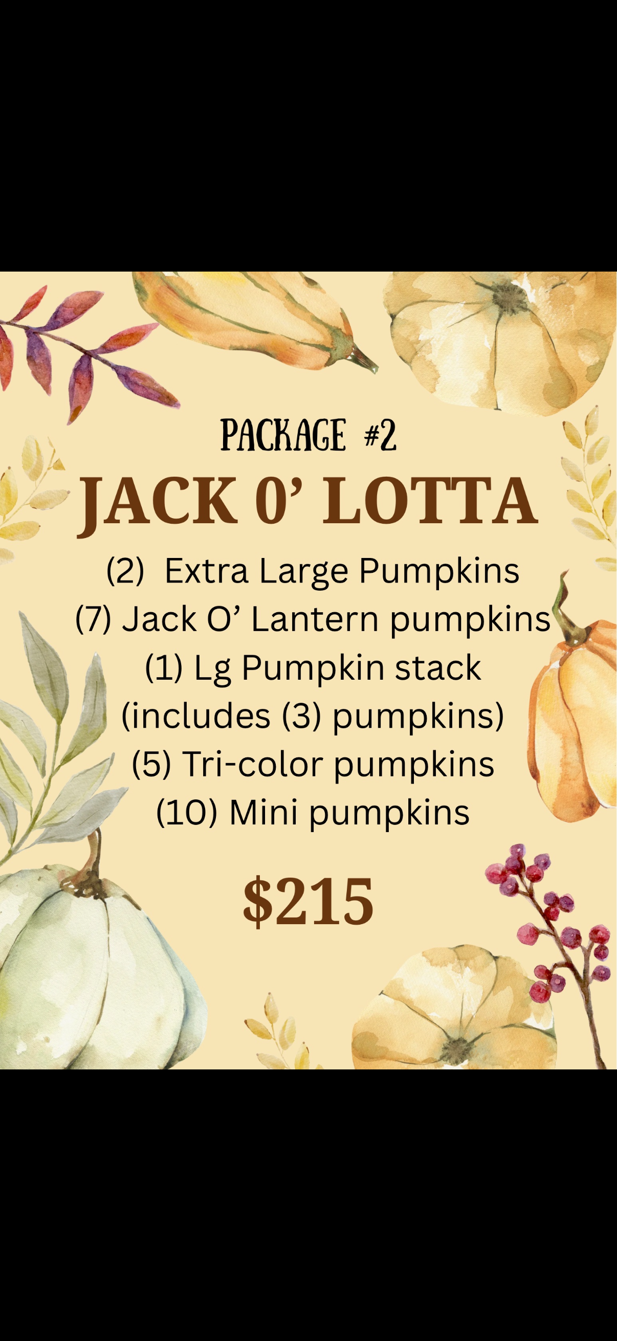 Fall Porch Package #2 Jack O' Lotta