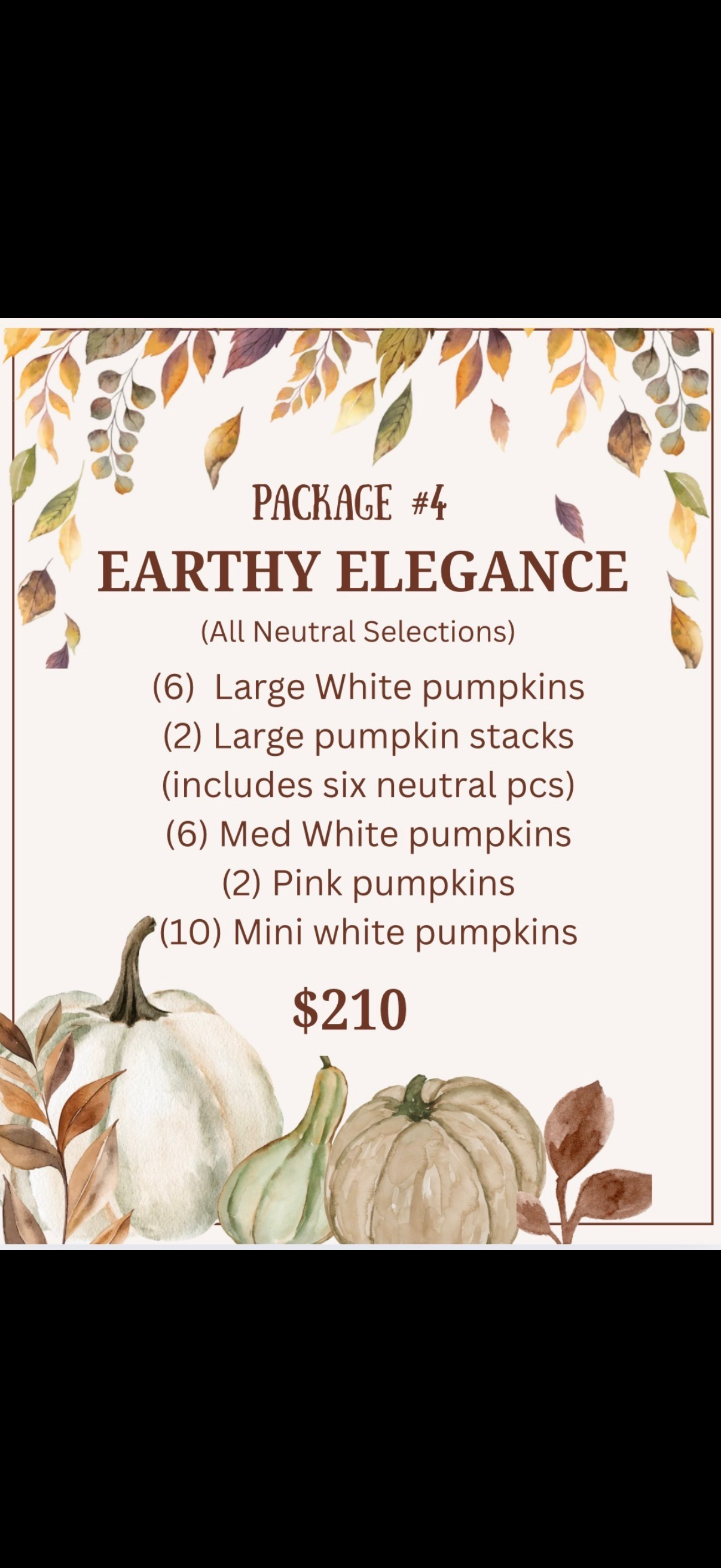 Fall Porch Package #4 Earthy Elegance (All Neutral Selections)