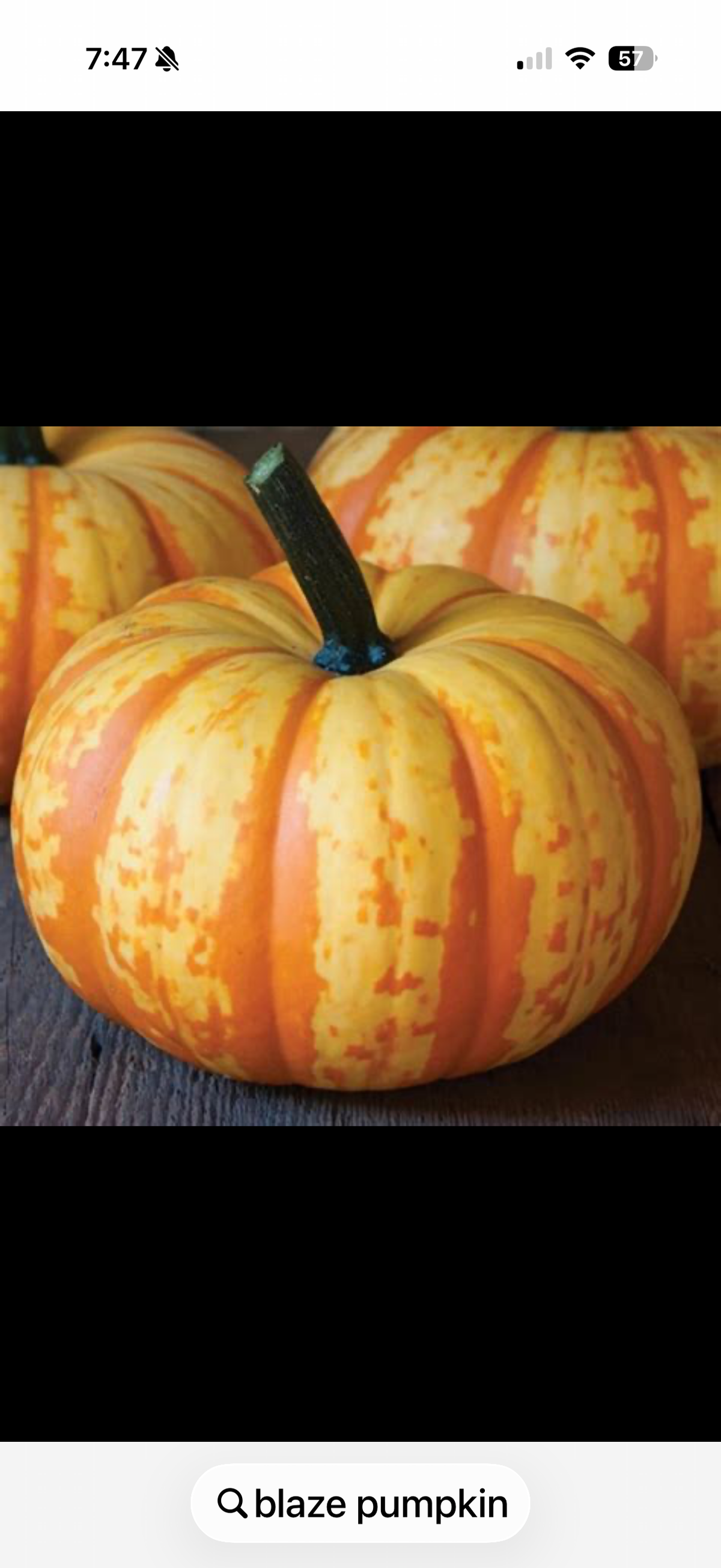 Blaze Pumpkin