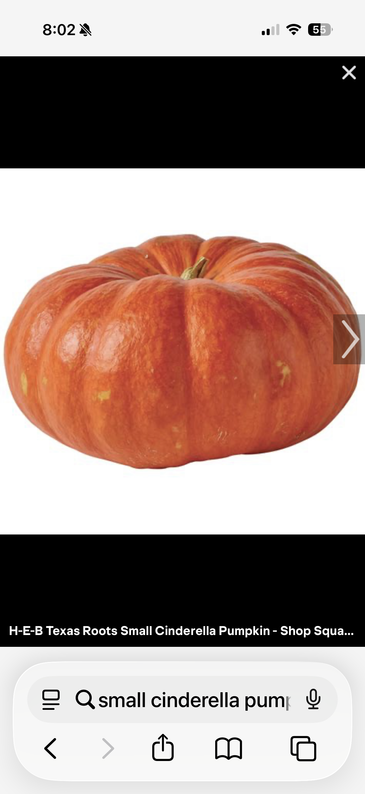 Small Cinderella Pumpkin