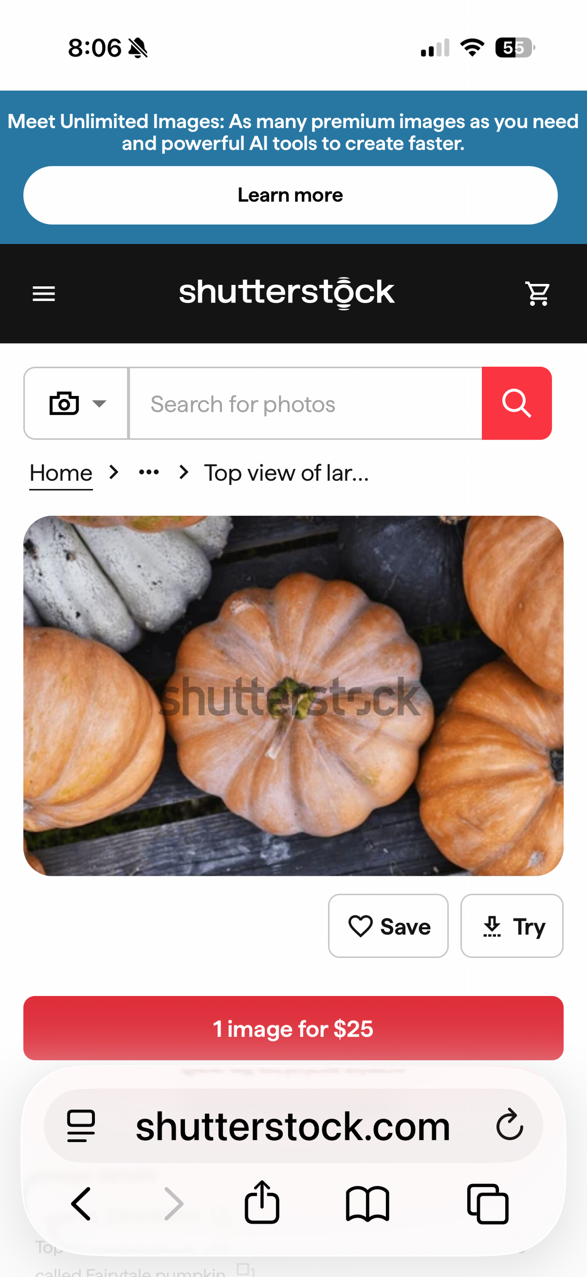 Fairy Tale Pumpkin
