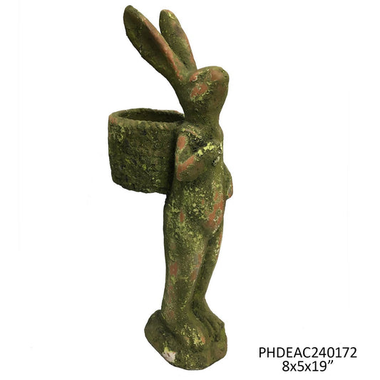 Aged Gathering Rabbit