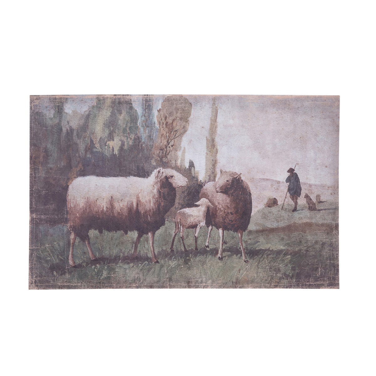 Pastorial Sheep Print              (25)