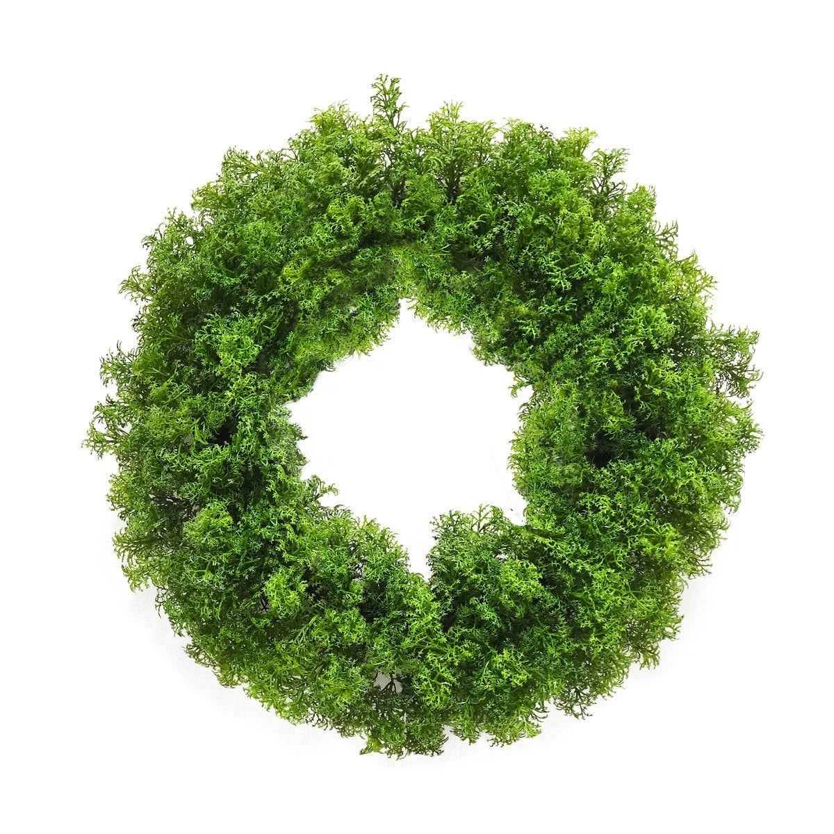 Carrot Leaf Wreath