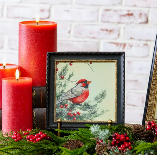 6 x 6 Cardinal Photo Frame