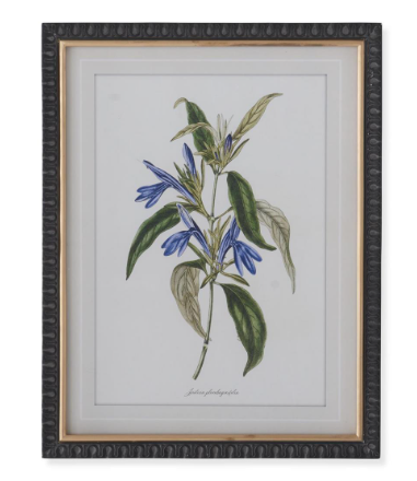 17.75" Black and Gold Framed Blue Botanical Print  (25)