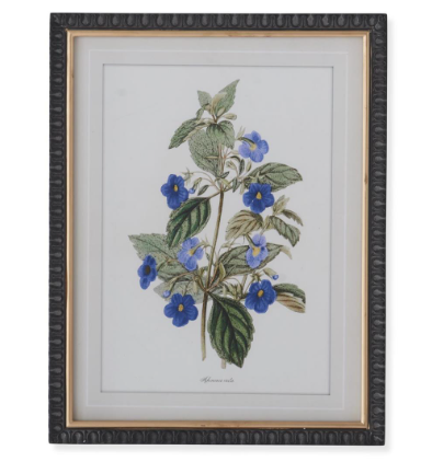 17.75" Black and Gold Framed Blue Botanical Print  (25)