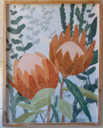 Framed Print Under Glass Protea