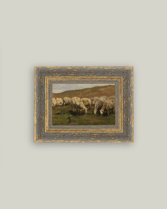 6 Sheep Landscape