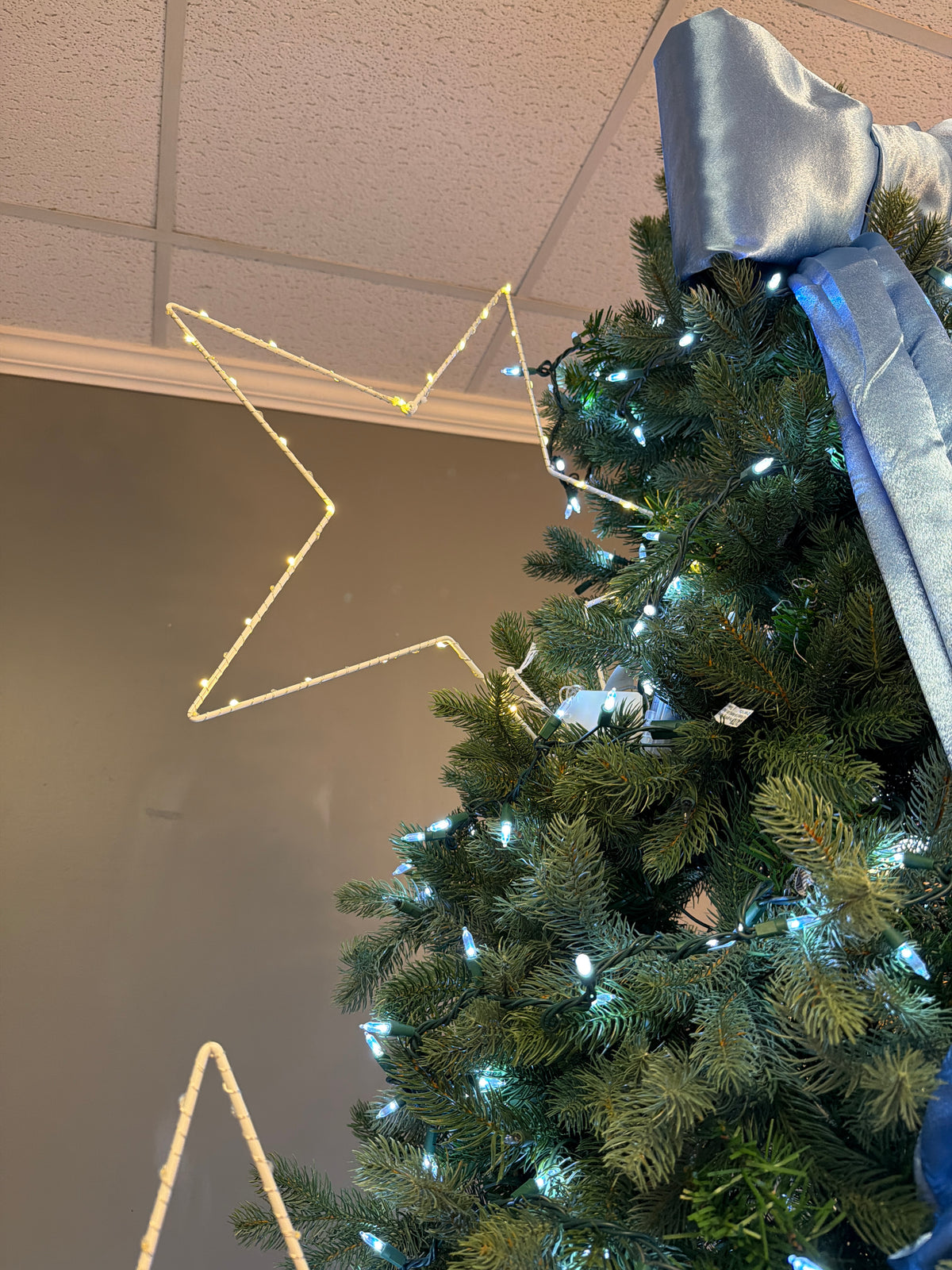 LED Lit Star White