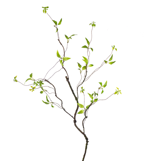 42” Twig Spray