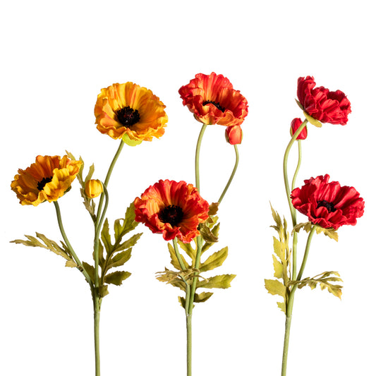 27” Small Poppy