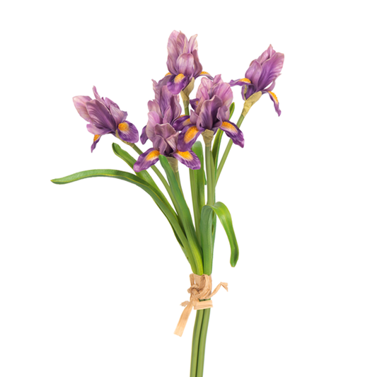6  14" Iris x 7 Purple