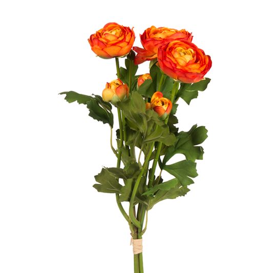 6 20.5" Ranuculus Bundle Orange