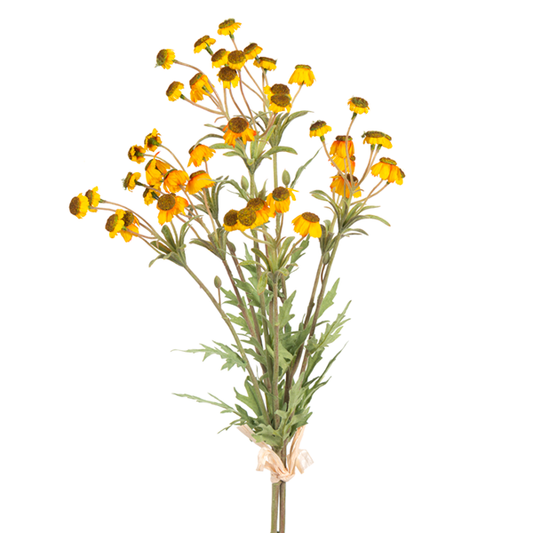Black Eyed Susan Bundle Yellow 29”