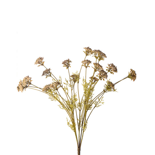 23.5” Wild Yarrow Beige