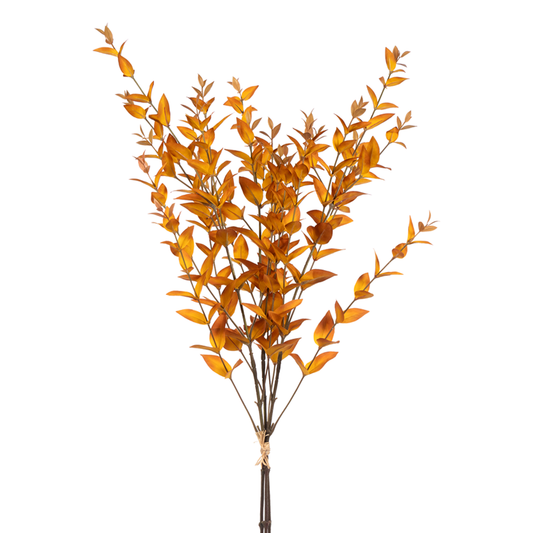 36" Myrtle Bundle-Gold