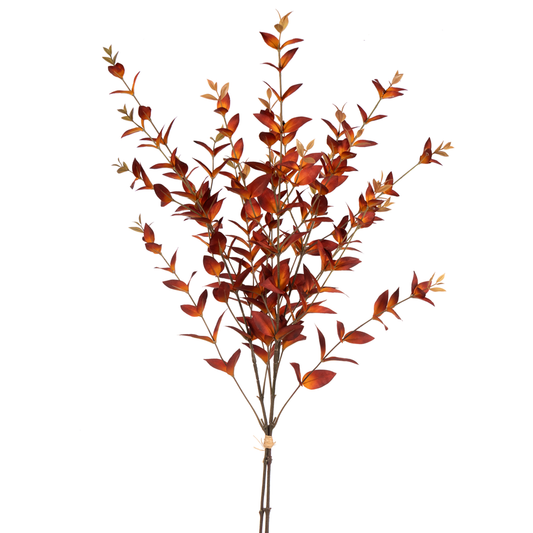 36" Myrtle Bundle Rust