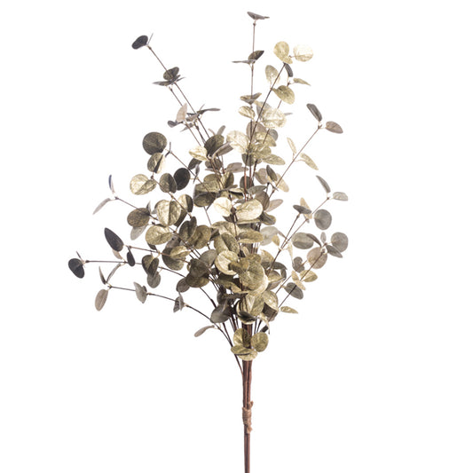 35.5" Eucalyptus Bundle Platinum