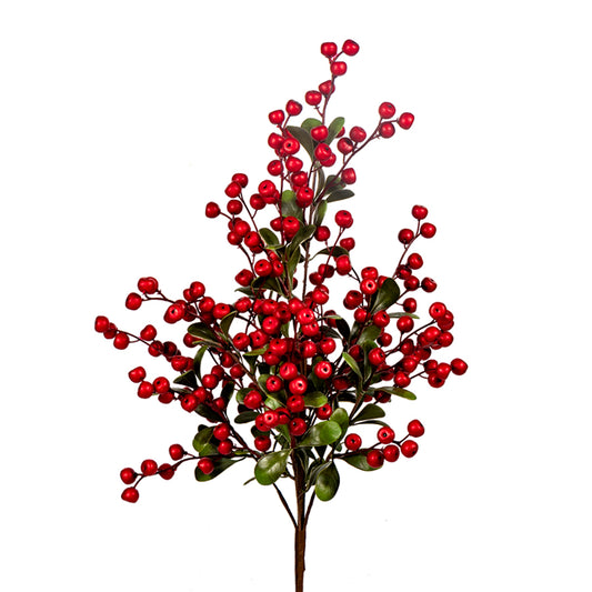 24" Berry Bush