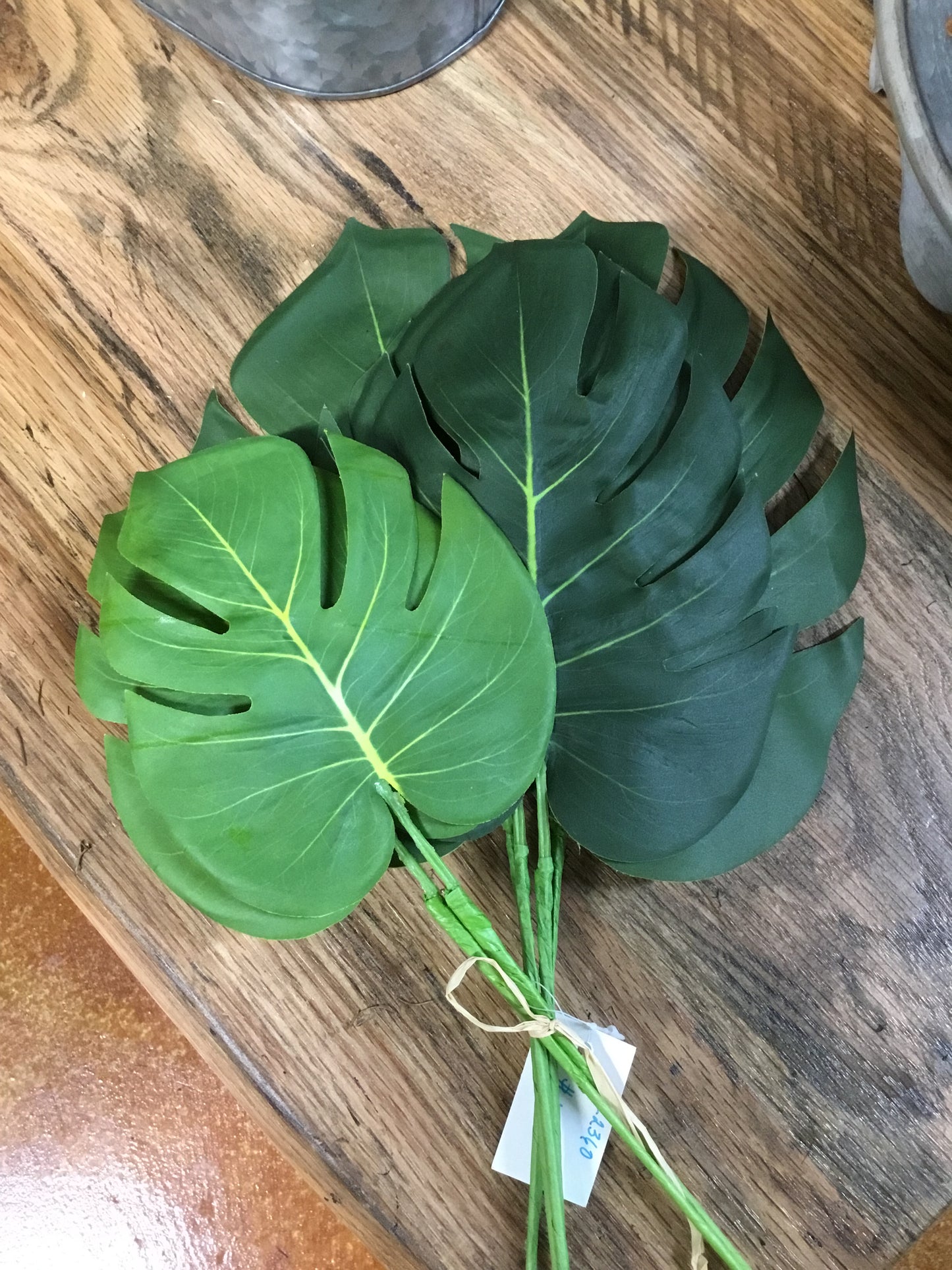 Csl2360-Kal Monstera Leaf Bundle