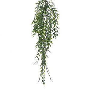 48" Willow.    (25)