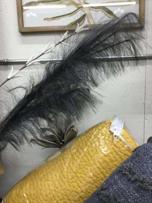 Df6447-Cc Pampas Grass