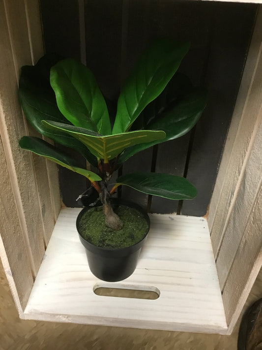 PDH007 13.5" Fiddle Leaf Tree