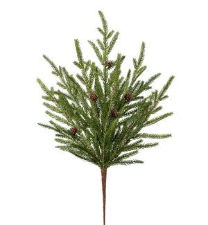 Norfork Pinecones Pick