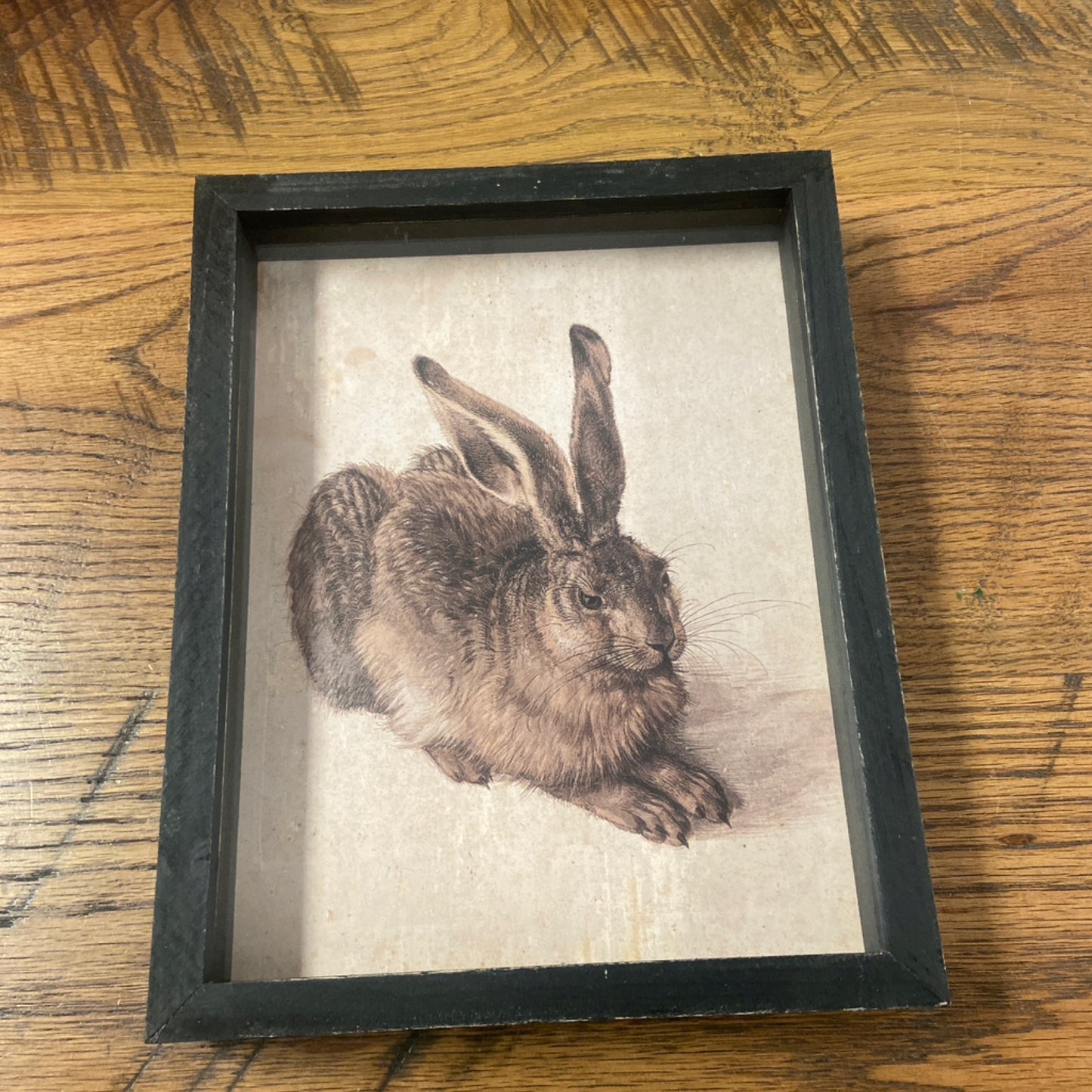 Framed Rabbit Print