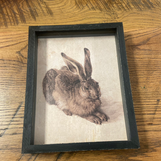 Framed Rabbit Print
