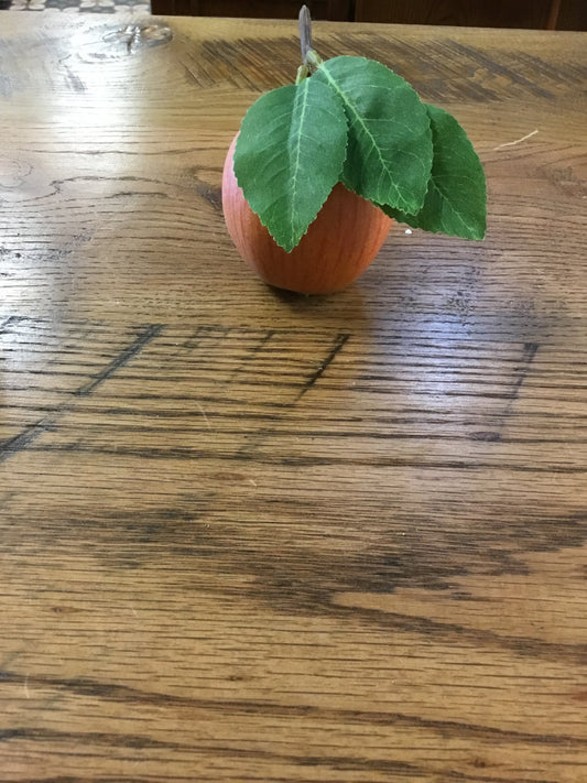 Eby10407 Ph Apple W\leaf