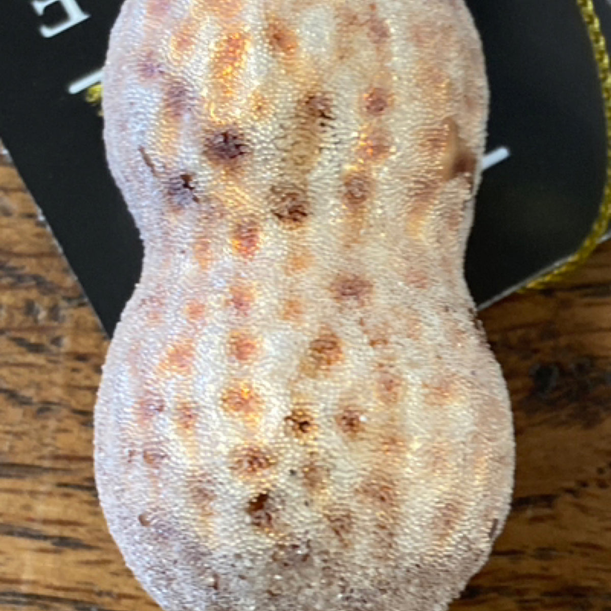 6 2.8" Peanut Shell Ornament